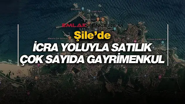 İstanbul Şile'de 1.300 m² İmarlı Tarla İcradan Satışa Çıkarıldı