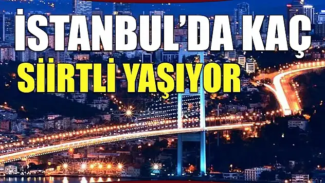 İstanbul'da Yaşayan Siirtli Sayısı Belli Oldu!