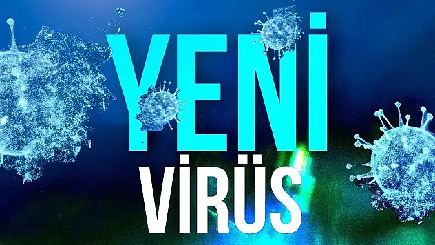 Kapıdaki Tehlike 'ERİS' Virüsü!