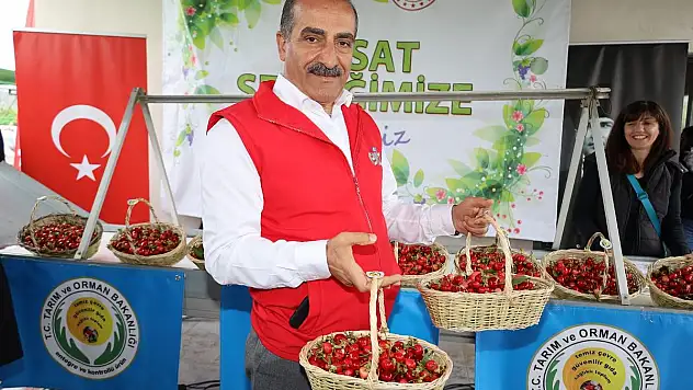 Kirazda Rekor Yılı: 205 Milyon Dolara Ulaştı