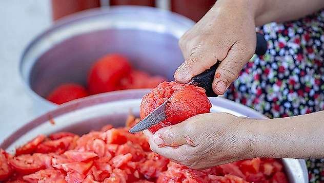 Kışlık Salça Ve Konserve Yapacaklar Dikkat: Domateste Pestisit Uyarısı