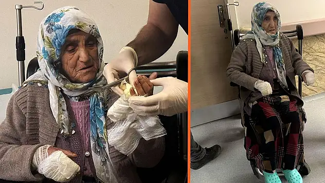 Köpeklerin Saldırdığı Kadın Yaralandı!