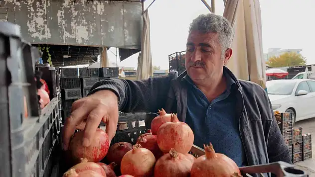 Siirt'te kuraklık Zivzik narında verimi yarı yarıya düşürdü