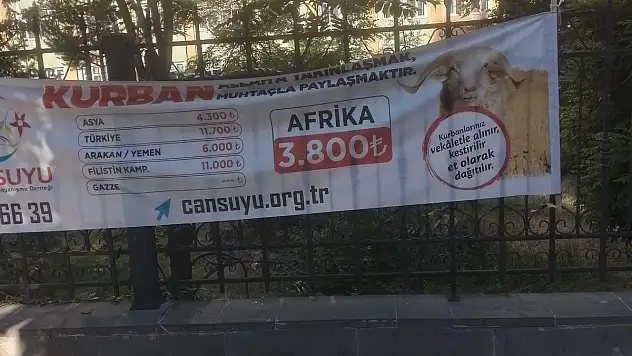 Kurban Fiyatlarındaki Çelişki