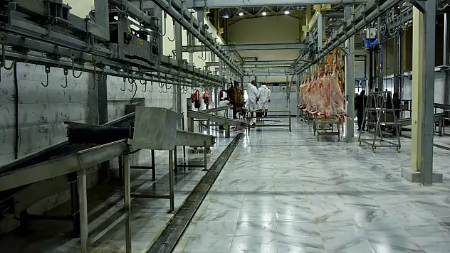 Kurban Satış ve Kesim Yerleri Belirlendi