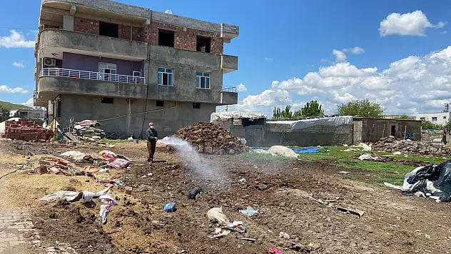 Kurtalan'da Haşereye Karşı Erken Önlem: Belediye Larva İlaçlamasına Başladı