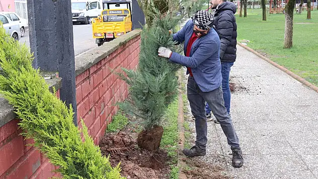 Kurtalan'da Yeşil Seferberliği: Park ve Mezarlıklar 1000 Yeni Ağaçla Buluştu
