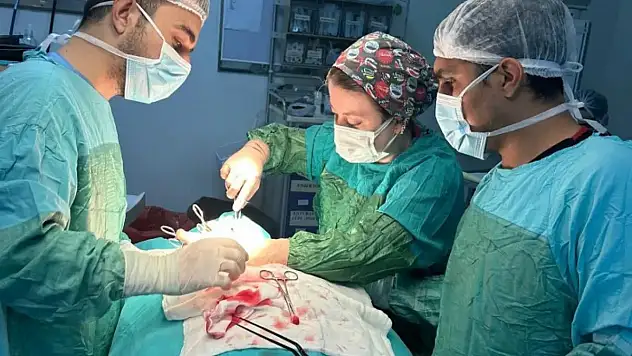 Kurtalan Devlet Hastanesi'nde İlk Tiroid Bezi Cerrahisi Gerçekleştirildi