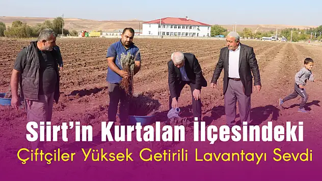 KURTALAN İLÇEMİZ ÇİFTÇİLERİ YÜKSEK GETİRİLİ LAVANTAYI SEVDİ