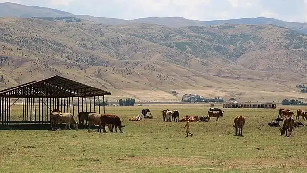 Kurtalan İlçemizde İki Köy Karantinaya Alındı