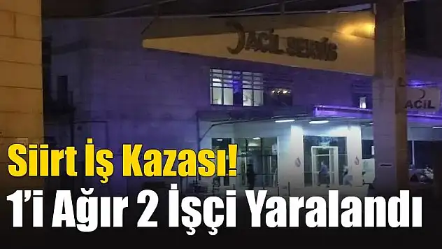 Kurtalan Yolunda İş Kazası!