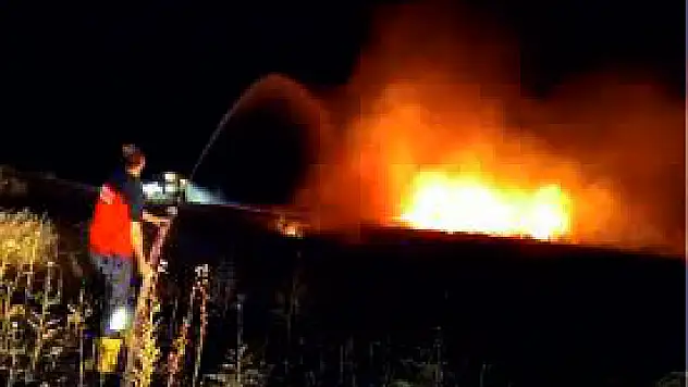 Kurtalan'da 10 Dönüm Fıstıklık Alan Yandı