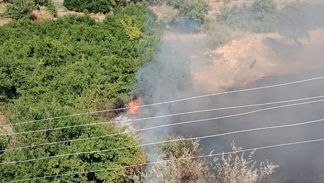 Kurtalan'ın Bağlıca Köyünde Yangın
