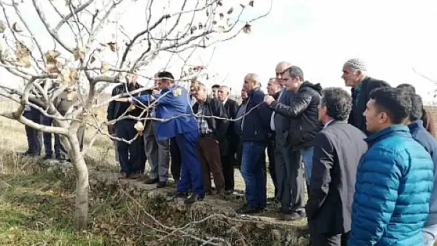 Kurtalanlı Çiftçiler Fıstık Konusunda Eğitildi
