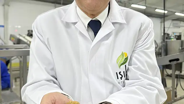 Kuru İncir İhracatında Yüzde 12'lik Artış