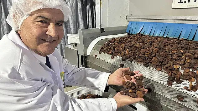Kuru Meyve İhracatçıları Hindistan Seferine Çıkıyor