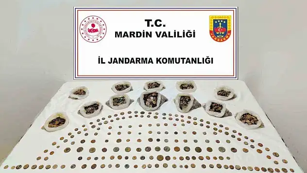 Mardin'de 'Anadolu Mirası' operasyonunda 4 bin 897 sikke ele geçirildi