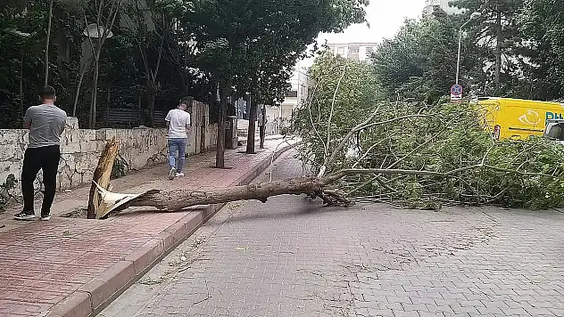 Meteorolojiden Siirt ve Çevre İllere Kuvvetli Rüzgar Uyarısı