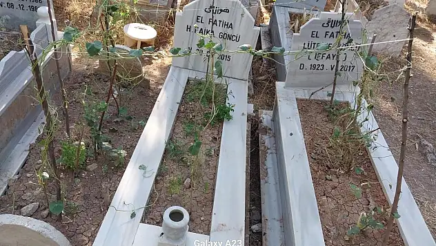 Mezarlar Tahrip Ediliyor Şeyh Devha Mezarlığı Bekçisiz