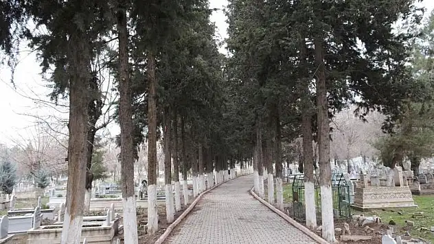 Mezarlıklar Yetmiyor, Kurtalan Yolu Üzerinde  Mezarlık Kurulması İsteniyor