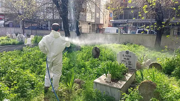 MEZARLIKLARDA YABANİ OTLARA KARŞI İLAÇLAMA ÇALIŞMASI BAŞLATILDI
