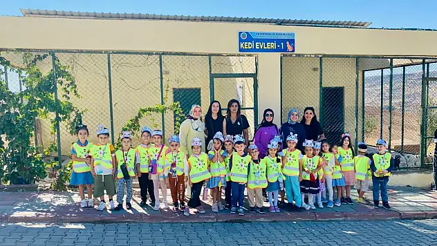 Minik Eller, Can Dostlarıyla Buluştu: Siirt'te Anlamlı Hayvan Sevgisi Etkinliği
