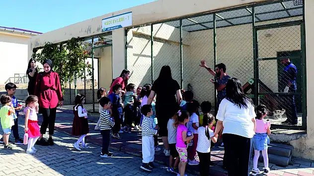 Minik Öğrencilerden Siirt Belediyesi Hayvan Bakım Merkezine Anlamlı Ziyaret
