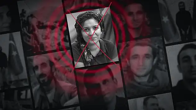 MİT'ten Kamışlı'ya Nokta Operasyon