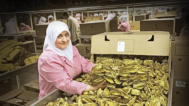 Nisan Ayında EİB'den 1 Milyar 468 Milyon Dolarlık İhracat