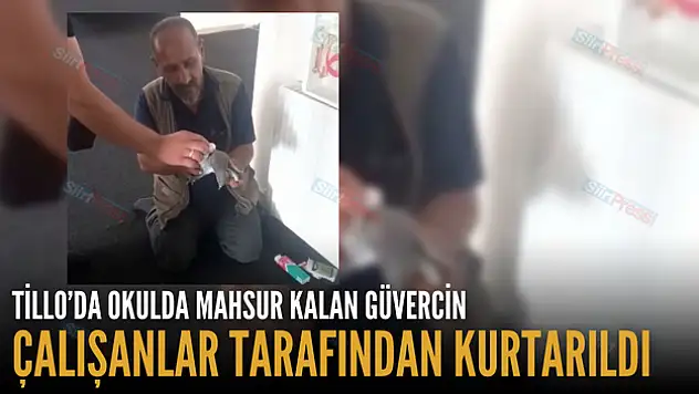 Okulda Mahsur Kalan Güvercin Çalışanlar Tarafından Kurtarıldı