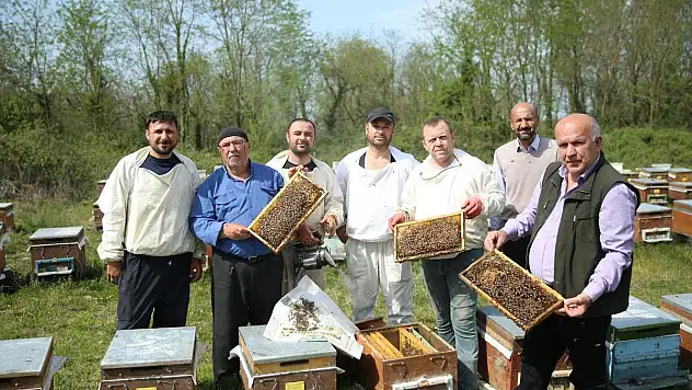 Ordulu Gezgin Arıcılar Bölgemizdeki ve İlimizdeki Yaylalara Gelecek