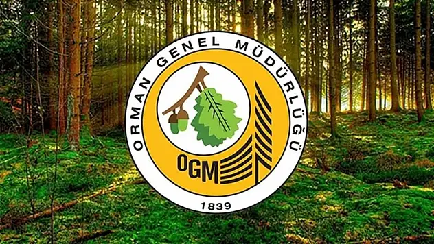 Orman Genel Müdürlüğüne 496 Sözleşmeli Personel Alınacak