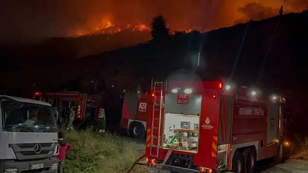 Orman Yangınlarında Hayatını Kaybeden Gönüllülere Şehitlik Statüsü