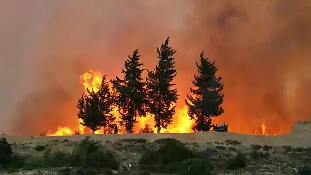 Orman Yangınlarıyla İlgili 7 Şüpheli Tespit Edildi