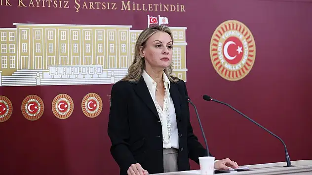 Ösen: 'Önlem alınmazsa bu yıl domates tarlada kalacak'