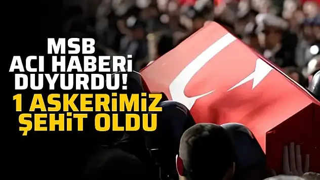 Pençe-Kilit Hareket Bölgesinde 1 Şehidimiz Var