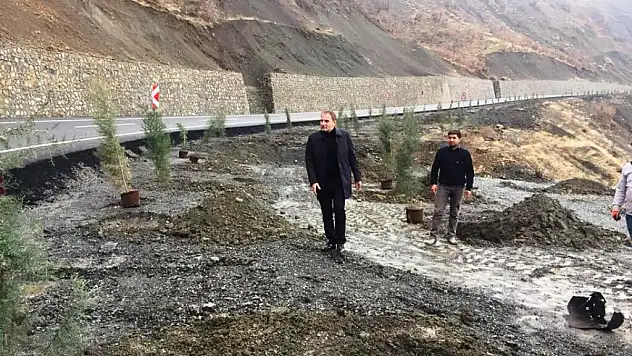 Pervari Belediyesinden Daha Yeşil Bir Pervari İçin Ağaçlandırma Seferberliği