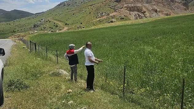 Pervari'de Tarım ve Orman Müdürlüğü Ekipleri Ekili Alanların Üretim Kalitesini Araştırıyor