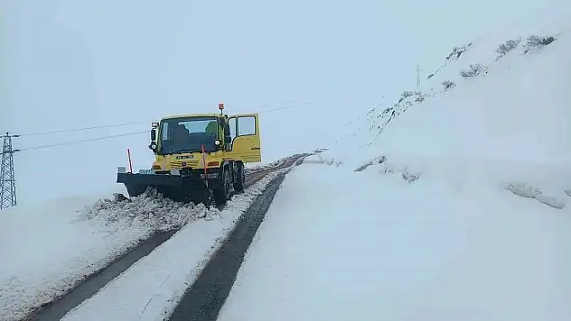 Pervari İlçesinde Kapanan Köy Yolları Ulaşıma Açıldı (Videolu)