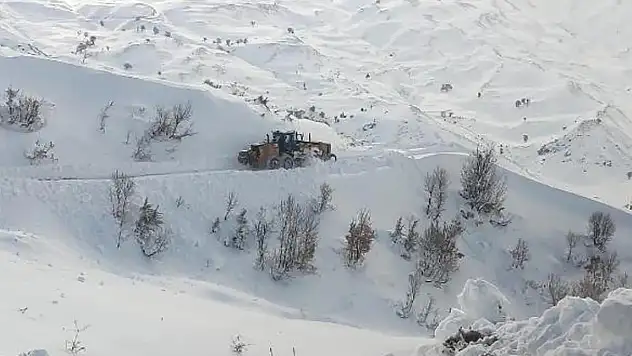 Pervari ve Şirvan'ın Yüksek Kesimlerine Kar Yağdı