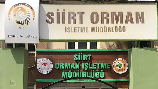 Peyzaj Düzenlemesi İşi