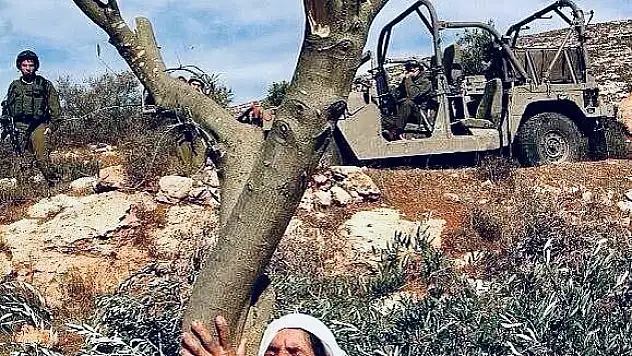 Prof.Dr.Süleyman Çelik: Ormanlarımız ve Çocuklarımız