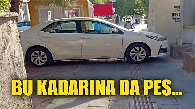 Rahatlığın Bu Kadarı!