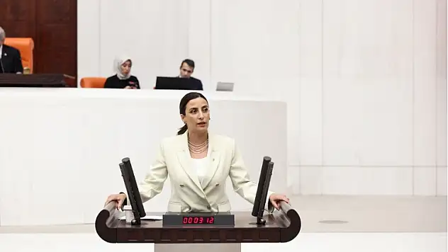 Rızvanoğlu: Göl Kurumaları Türkiye'nin Geleceğini Tehdit Ediyor