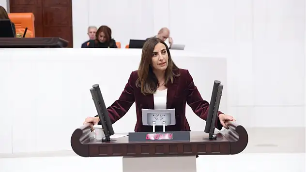 Rızvanoğlu: Türkiye'nin Yeni Bir Kalkınma Hikâyesi İçin Bir Çevre Rönesansına İhtiyacı Var!