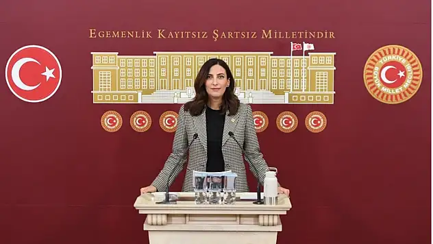 Rızvanoğlu'ndan Önemli Sorular!