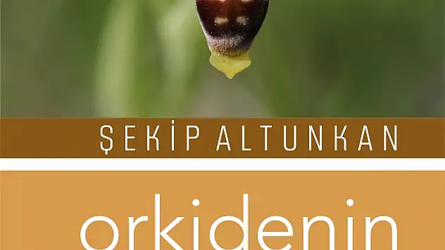 Sahte İçkiyle İlgili Roman Büyük İlgi Görüyor