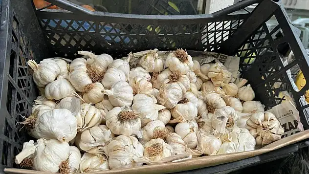 Sarımsağın Yararını Önemsiyorlar