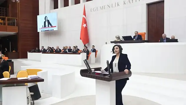 Sarıtaş, Eruh İlçemizdeki Darp Olayını İki Bakanlığa Sordu