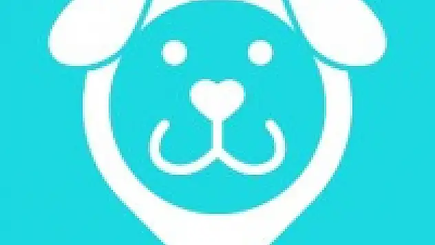 SemtPati Vakfı'ndan Kanun Değişikliğine Karşı Uyarı: 'Kısırlaştırma ve Aşılama ile Sorun Çözülür'